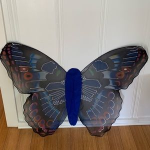 Adult Butterfly Wings